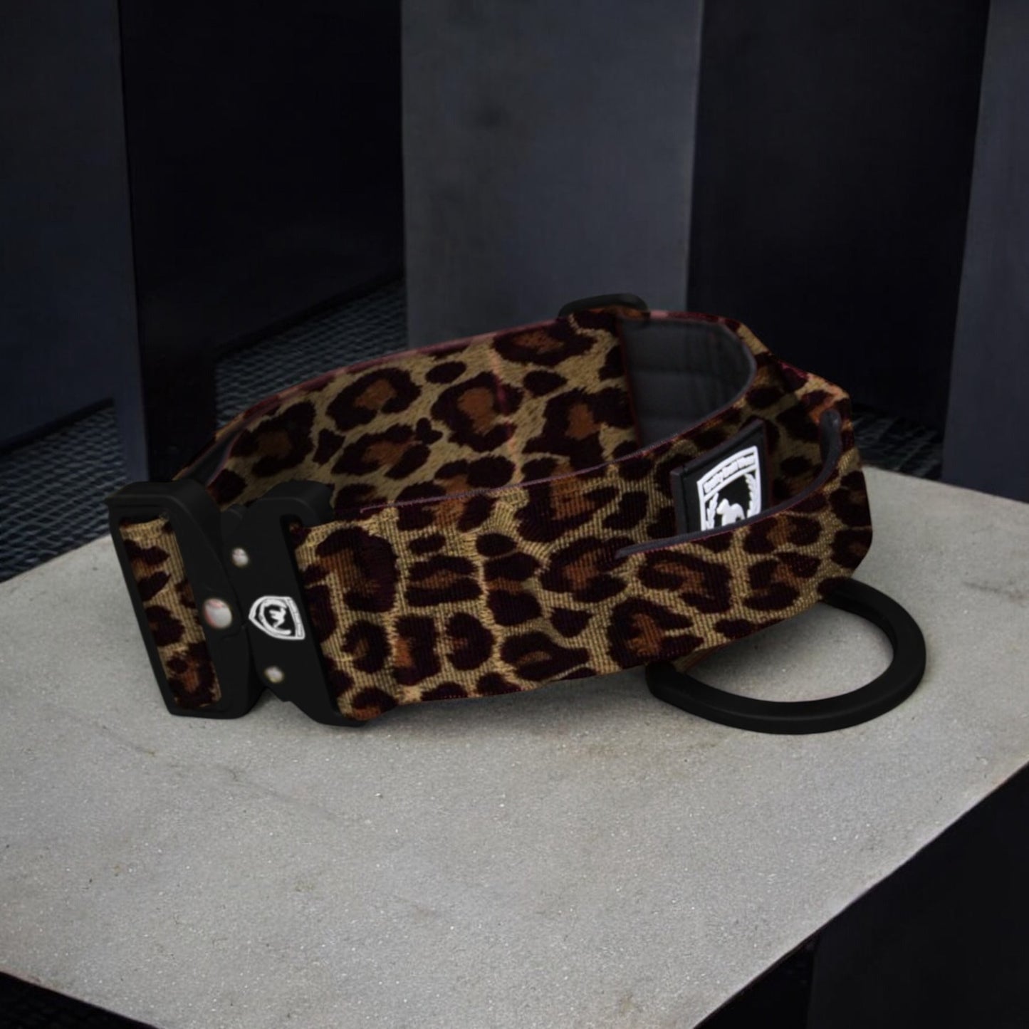 Combat Safety Collar I Classic Leo