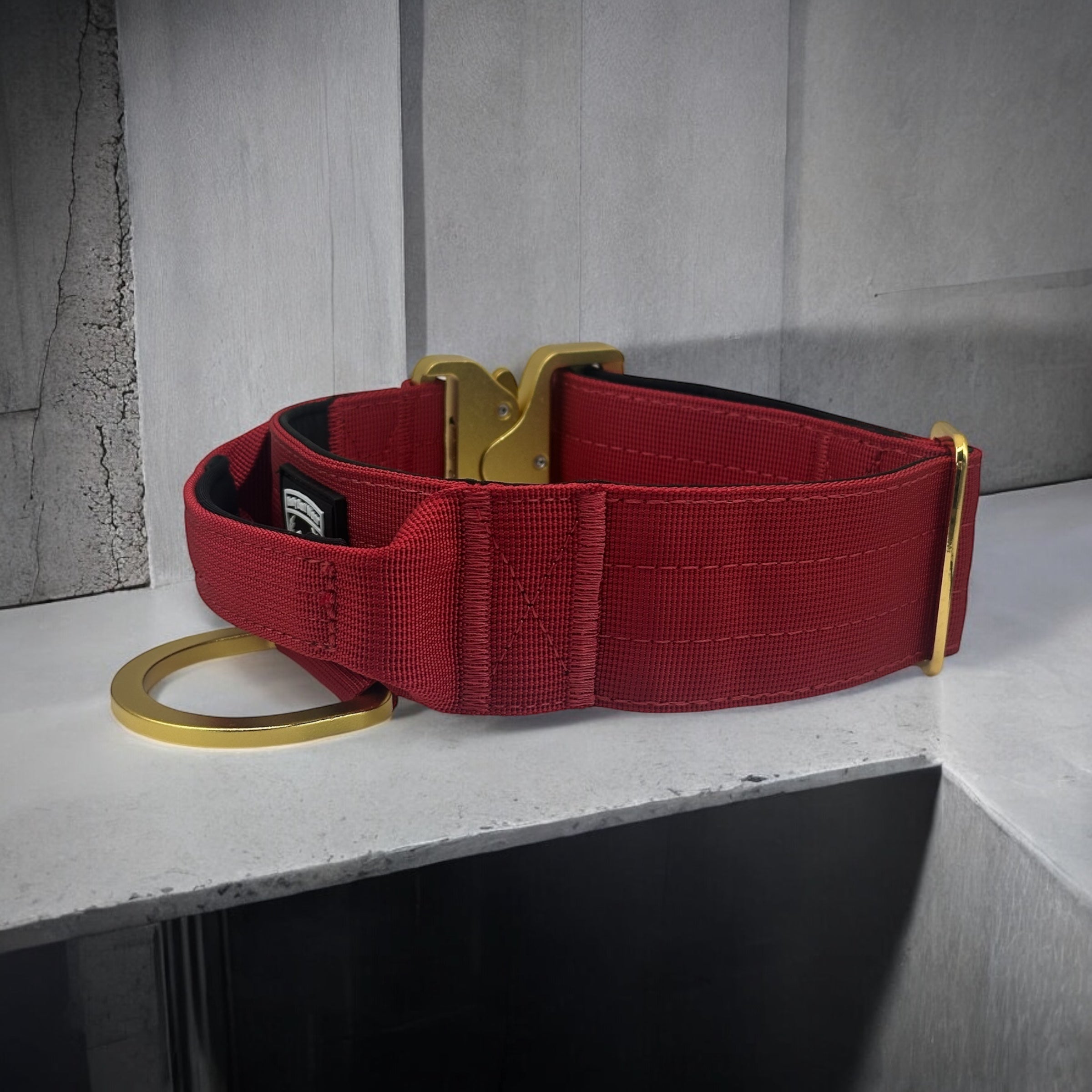 Combat Collar I wildberry