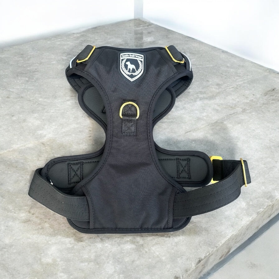 Premium Extreme Geschirr I black gold