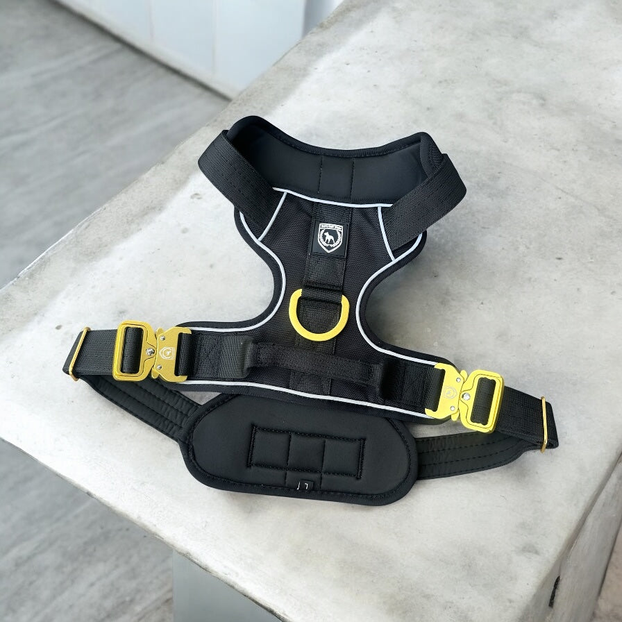 Premium Extreme Geschirr I black gold