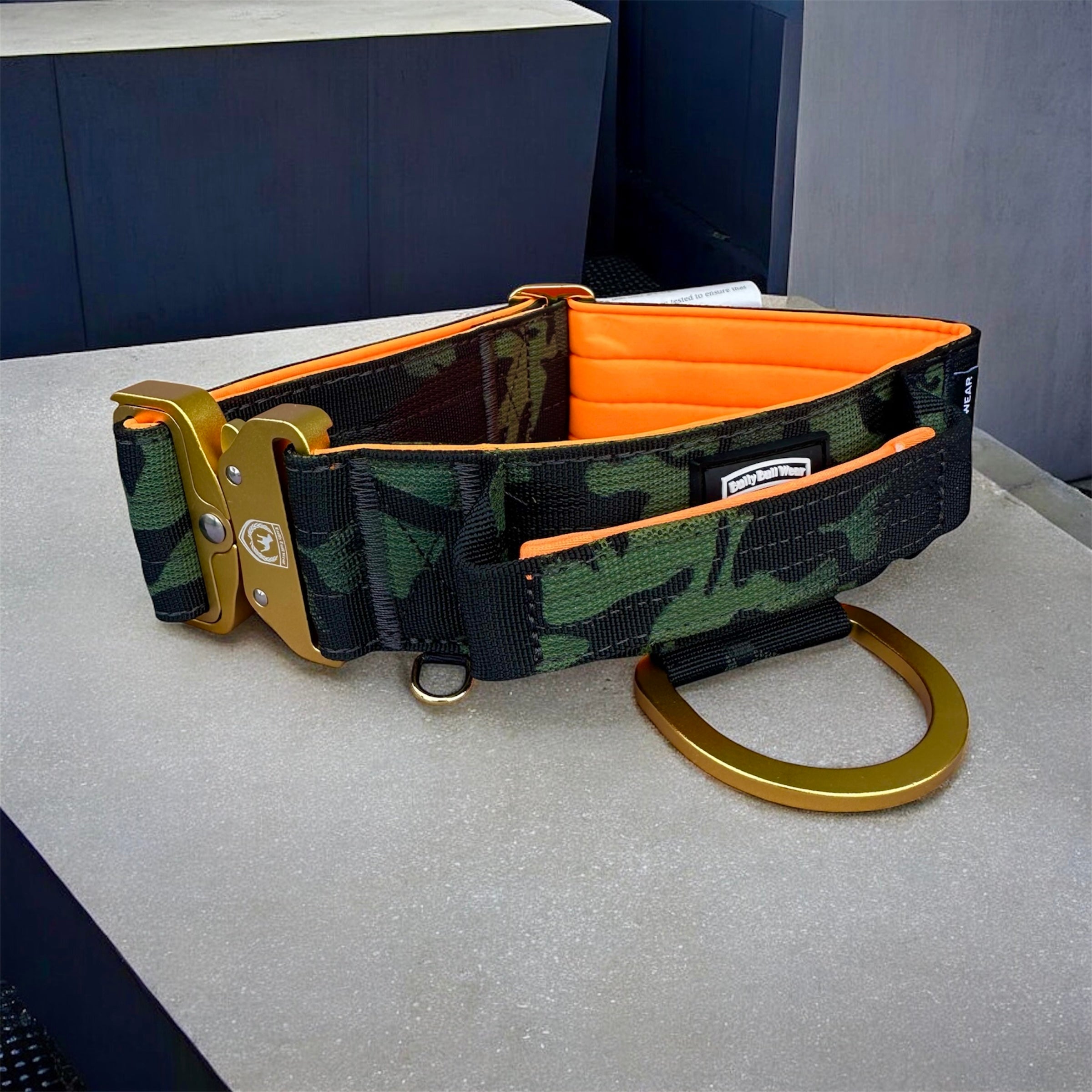 Combat Saftey Collar | donkey