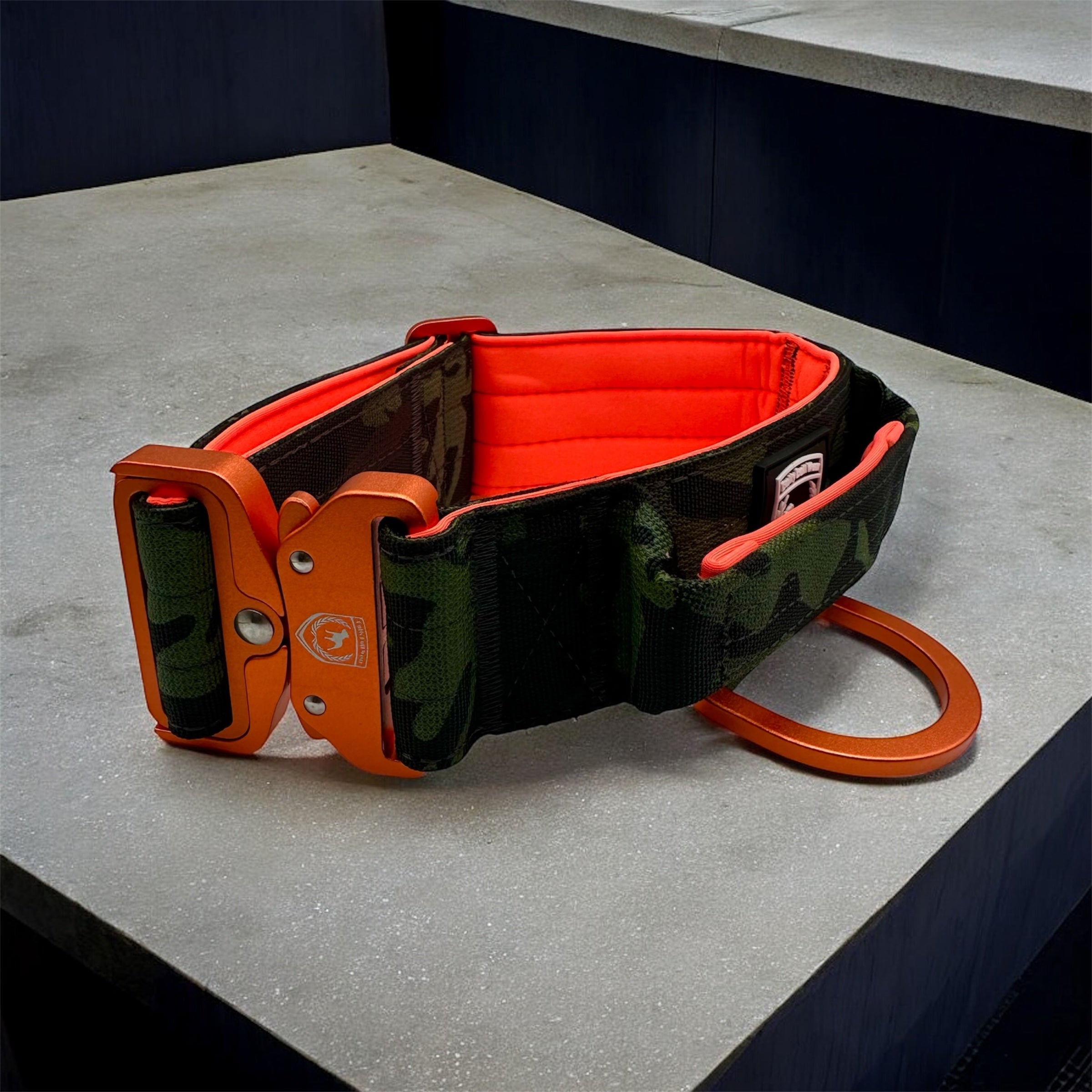 Combat Saftey Collar | donkeykong