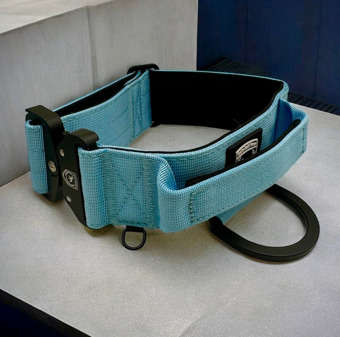 Combat Saftey Collar | babyblue buddy