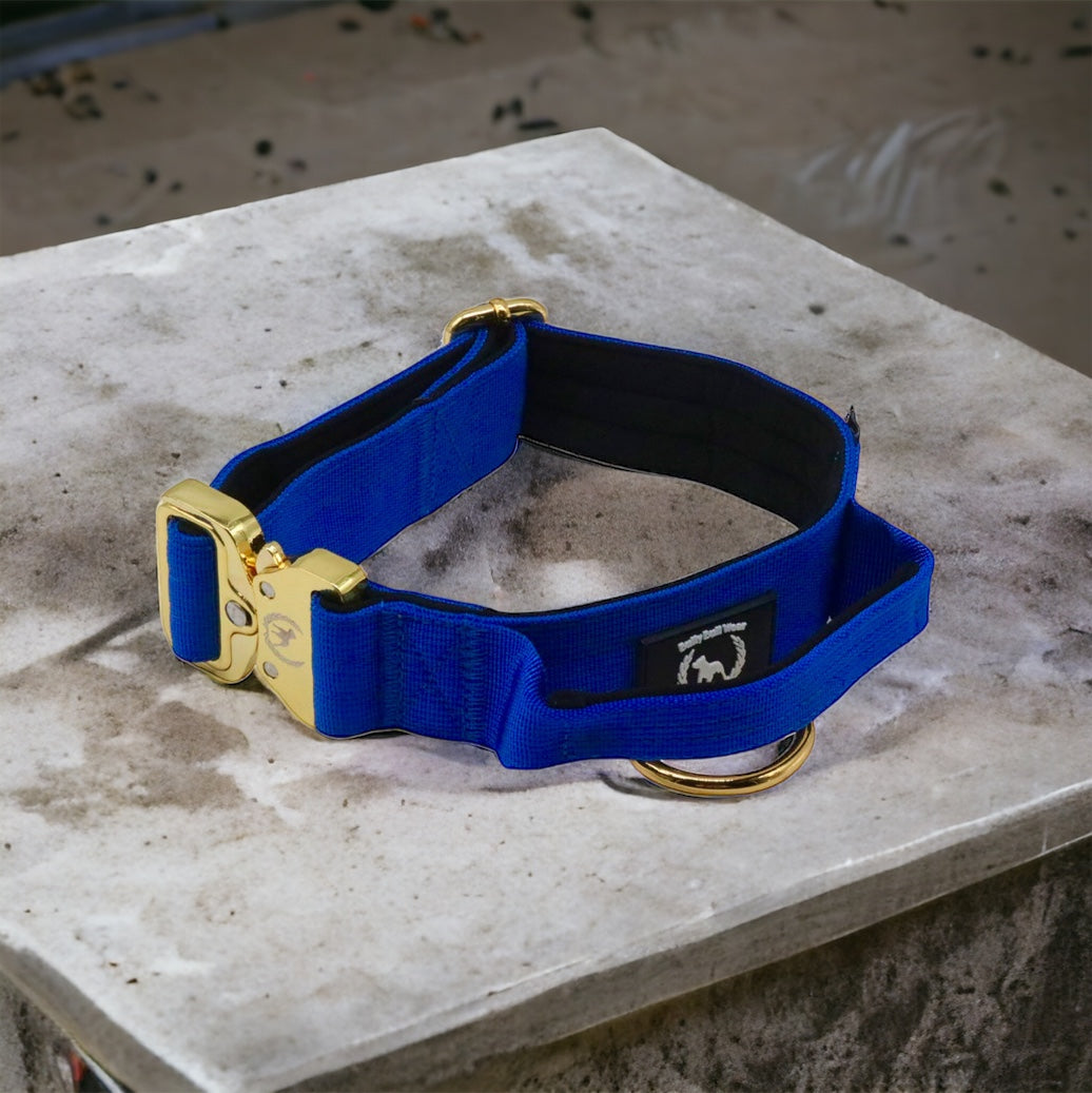 Combat Saftey Collar I Royal Sapphire - gold