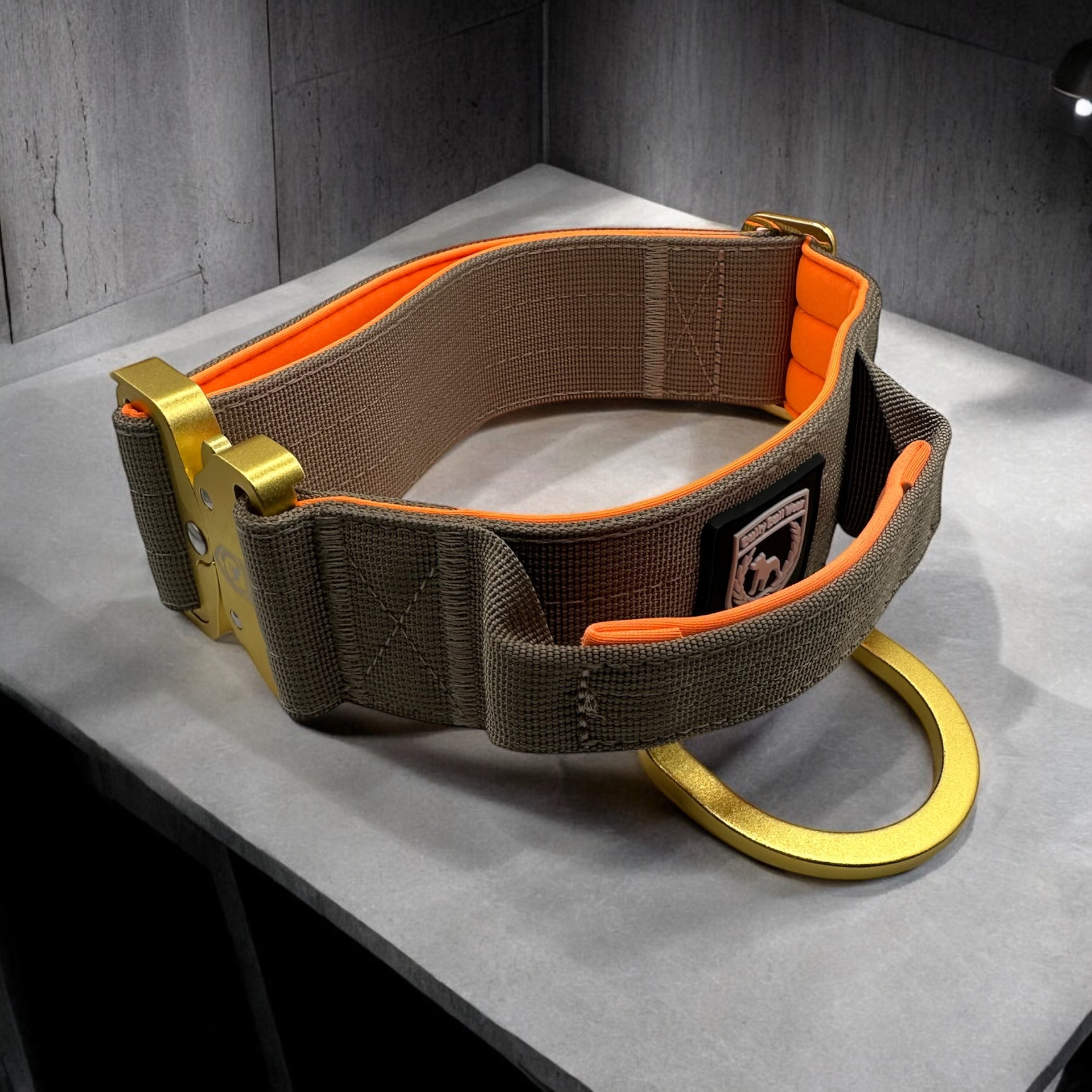 Combat Collar | desert-neonorange