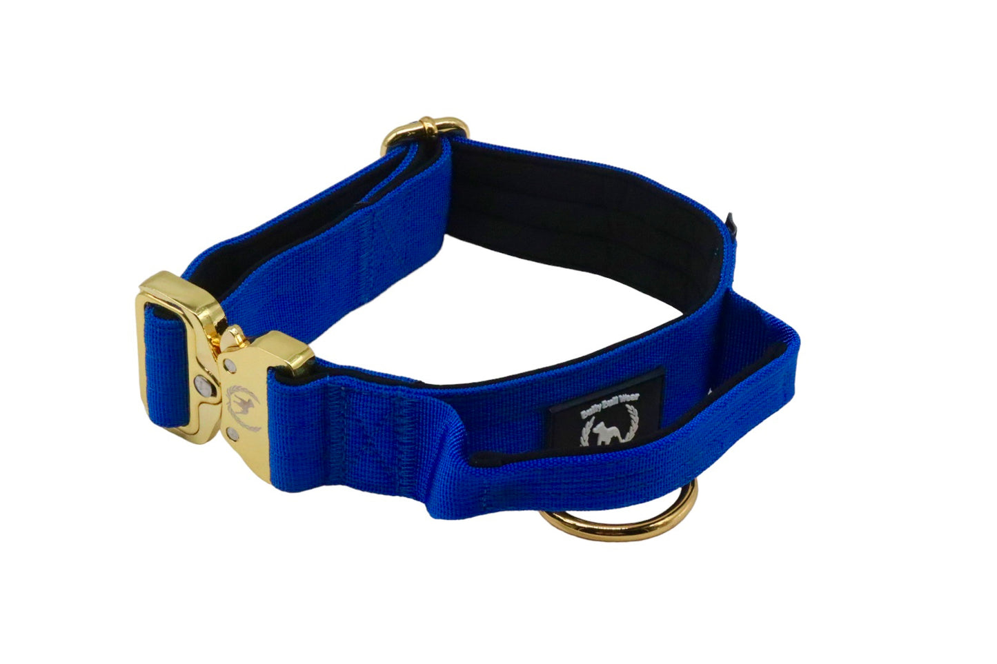 Combat Collar I royalblue - gold