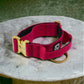 Combat Collar  | magenta-gold