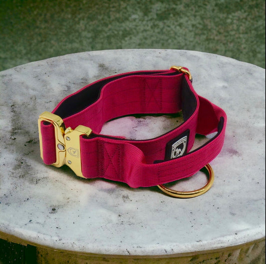 Combat Collar  | magenta-gold