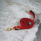 Basic Leash | Wildberry-gold