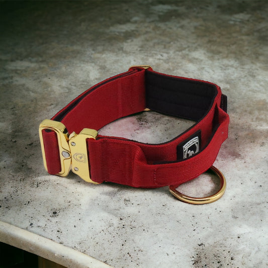 Combat Collar I wildberry