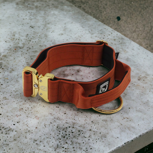 Combat Collar I congac - gold