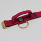 Combat Collar  | magenta-gold