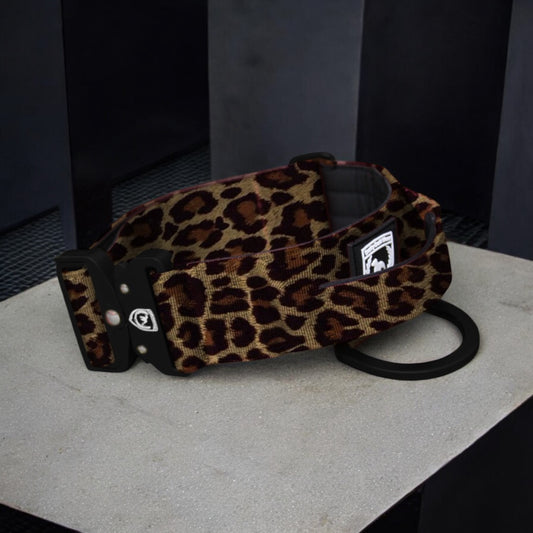 Combat Safety Collar I  Classic Leo
