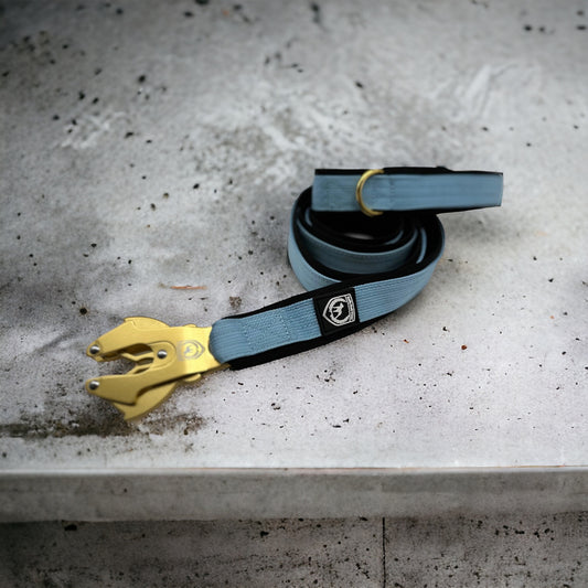 Combat Leash | babyblue-gold