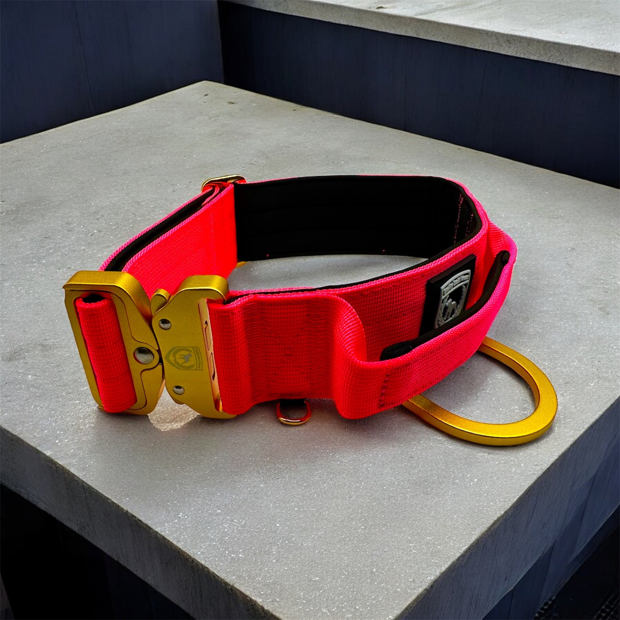 Combat Saftey Collar I Neonpink