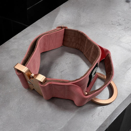 Combat collar | Rosa