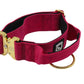 Combat Collar  | magenta-gold