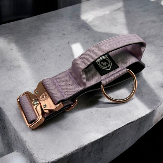 Combat Collar | lavender - Roségold