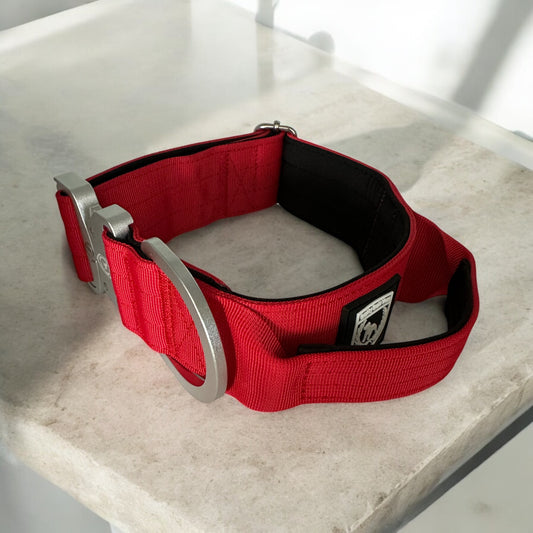 Combat Collar - Inferno