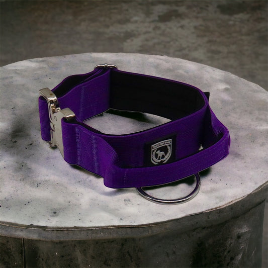 Combat Collar I purple-platinum