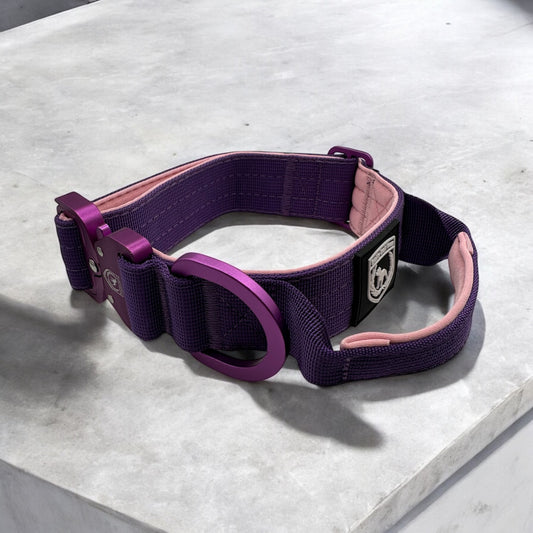 Combat collar | purple rosé