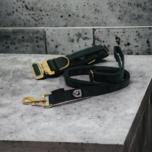 Combat Collar Samt  | Into the Wood-gold