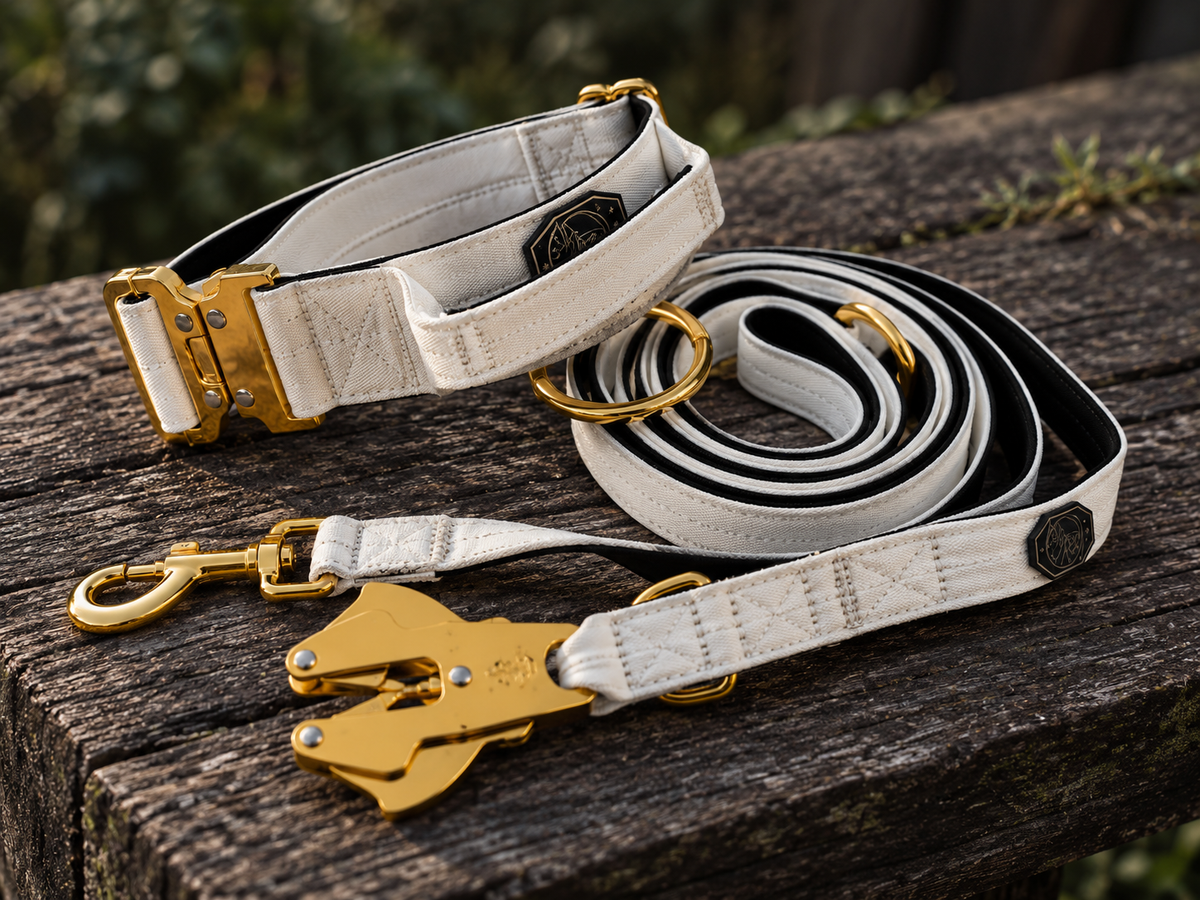 Combat Saftey Set  I white prestige