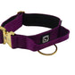 Combat Collar | plum-gold