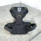 Premium Extreme Geschirr I black gold