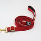 Basic Leash | Wildberry-gold