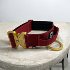 Combat Collar I wildberry