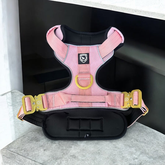 Premium chest harness I chocolate-rose gold