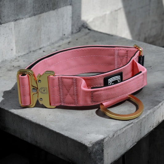 Combat Collar I babyrosé - gold