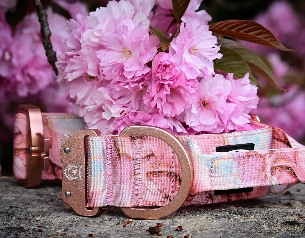 Combat Saftey Collar | rosé marble