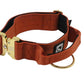 Combat Collar I congac - gold