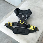 Premium Extreme Geschirr I black gold