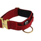 Combat Collar I wildberry