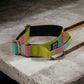 Combat Collar  | rainbow - platinum