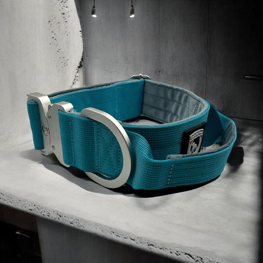 Combat Collar I caribbeanblue - platinum