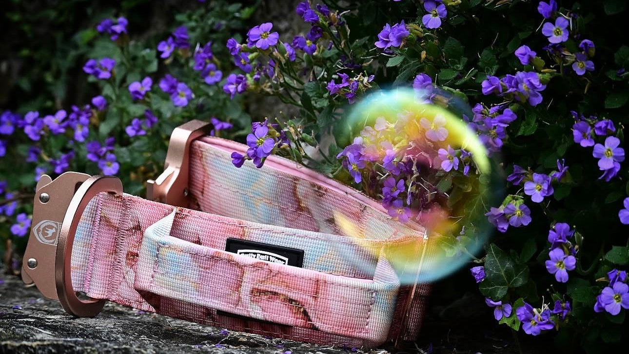 Combat Saftey Collar | rosé marble
