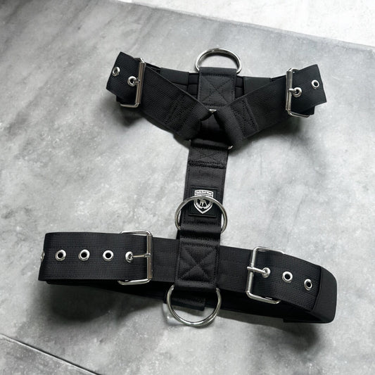 Basic Geschirr Rollschnalle | black Silber
