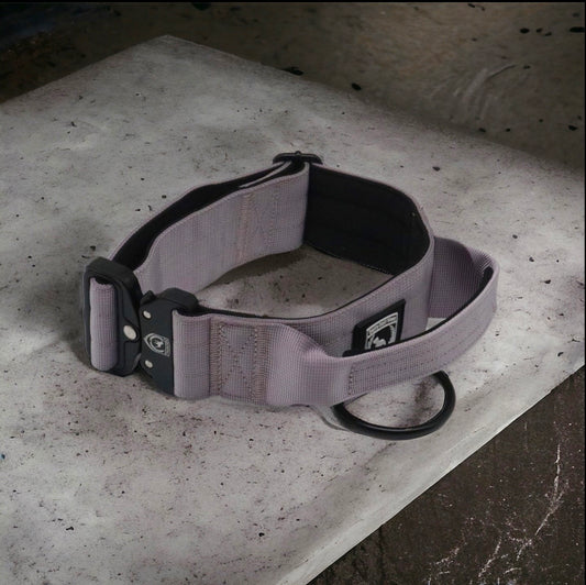 Combat Collar I lavender