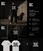 Gentle Oversize Tshirt | you can’t Shazam
