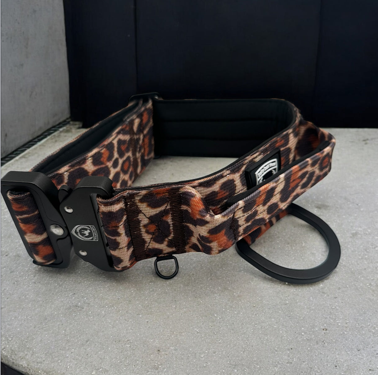 Combat Saftey Collar | classic Leo