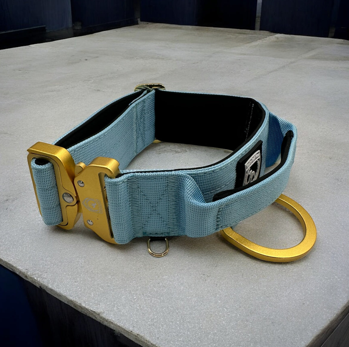 Combat Collar | babyblue - gold