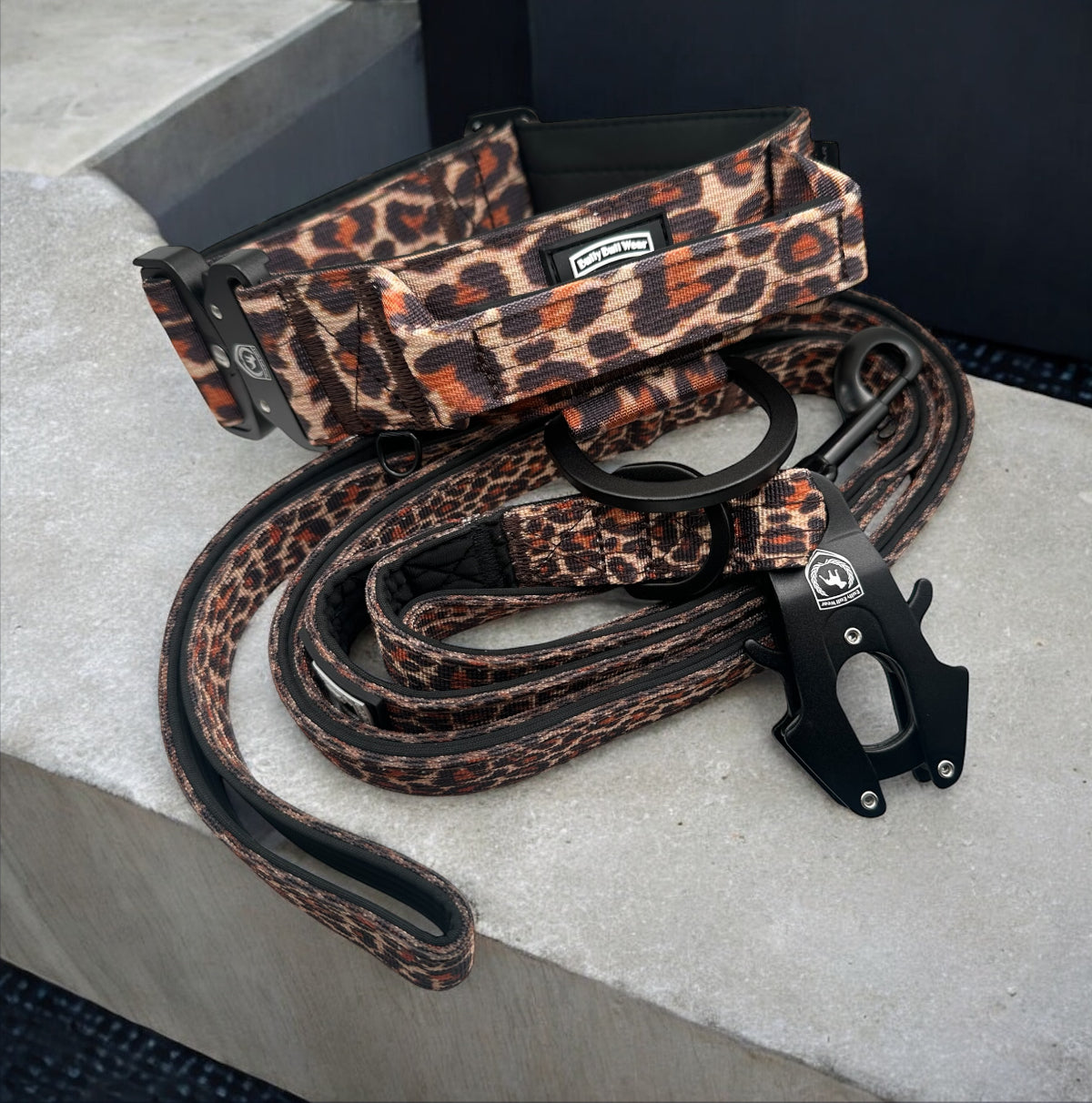 Combat Safety Set  I  Classic Leo