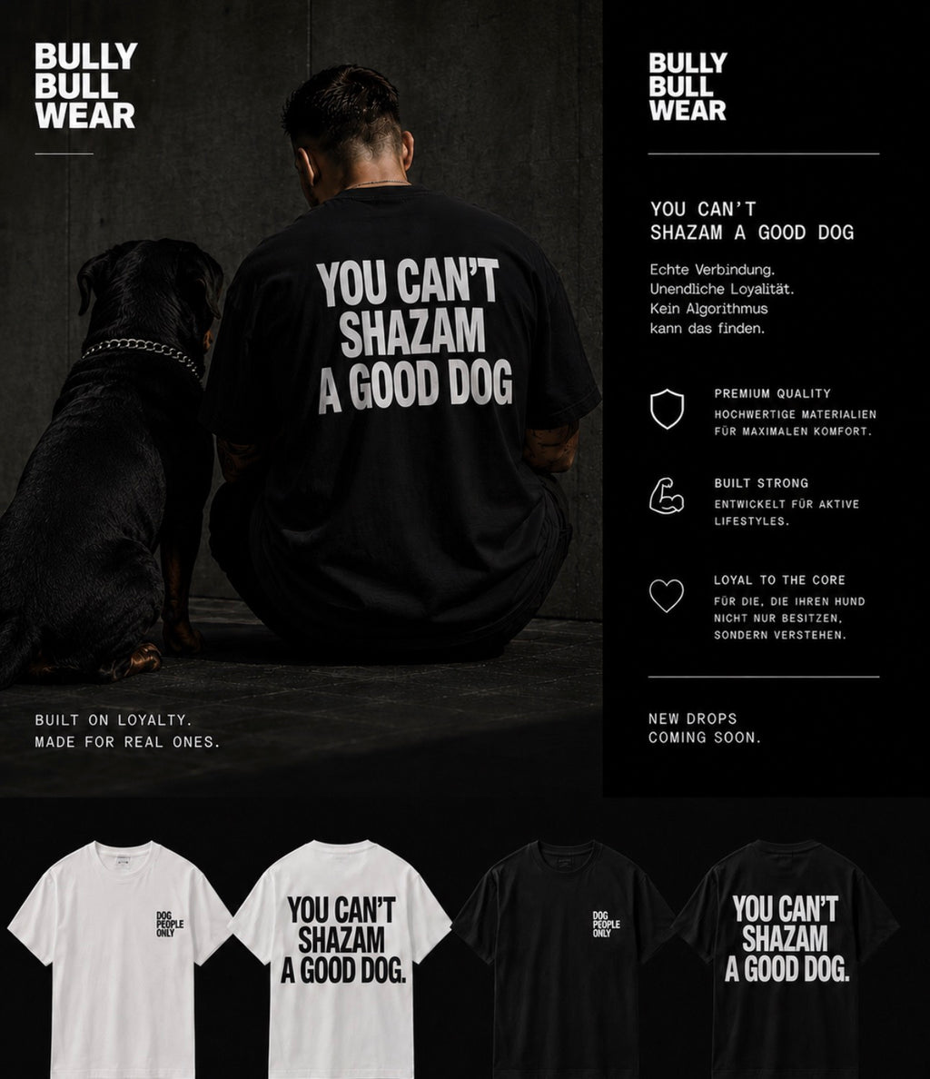 Gentle Oversize Tshirt | you can’t Shazam