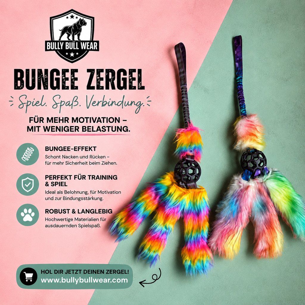 Oktopus Bungee Zergel