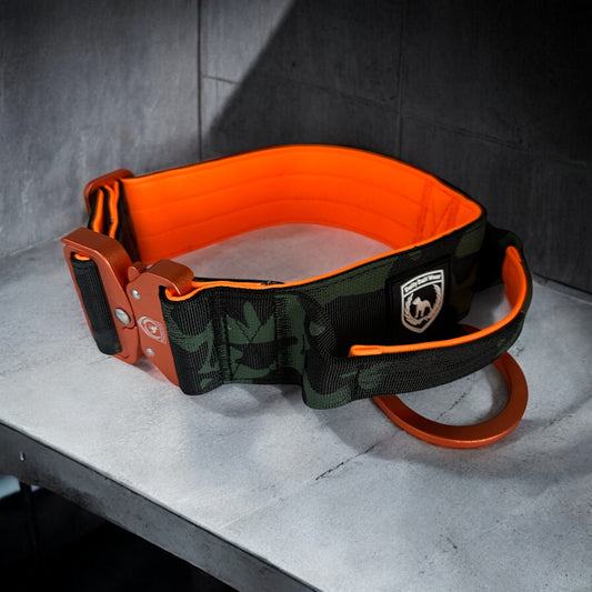 Combat collar  I donkeykongcamo-orange