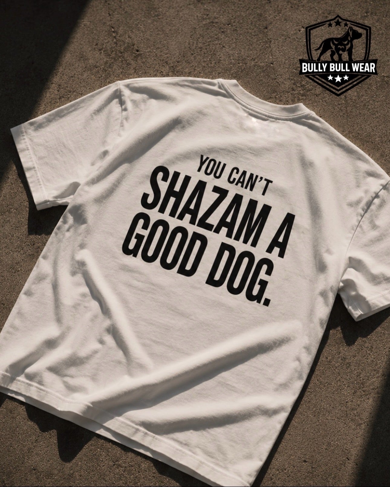 Oversize Tshirt  | you can’t Shazam